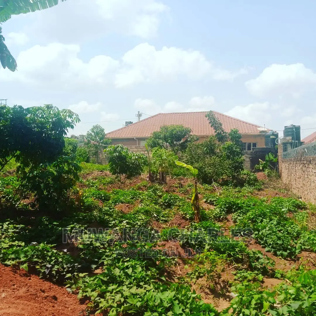 Plot Is for Sale in Kira