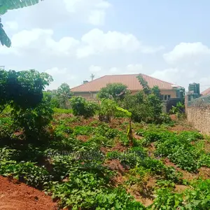 Plot Is for Sale in Kira