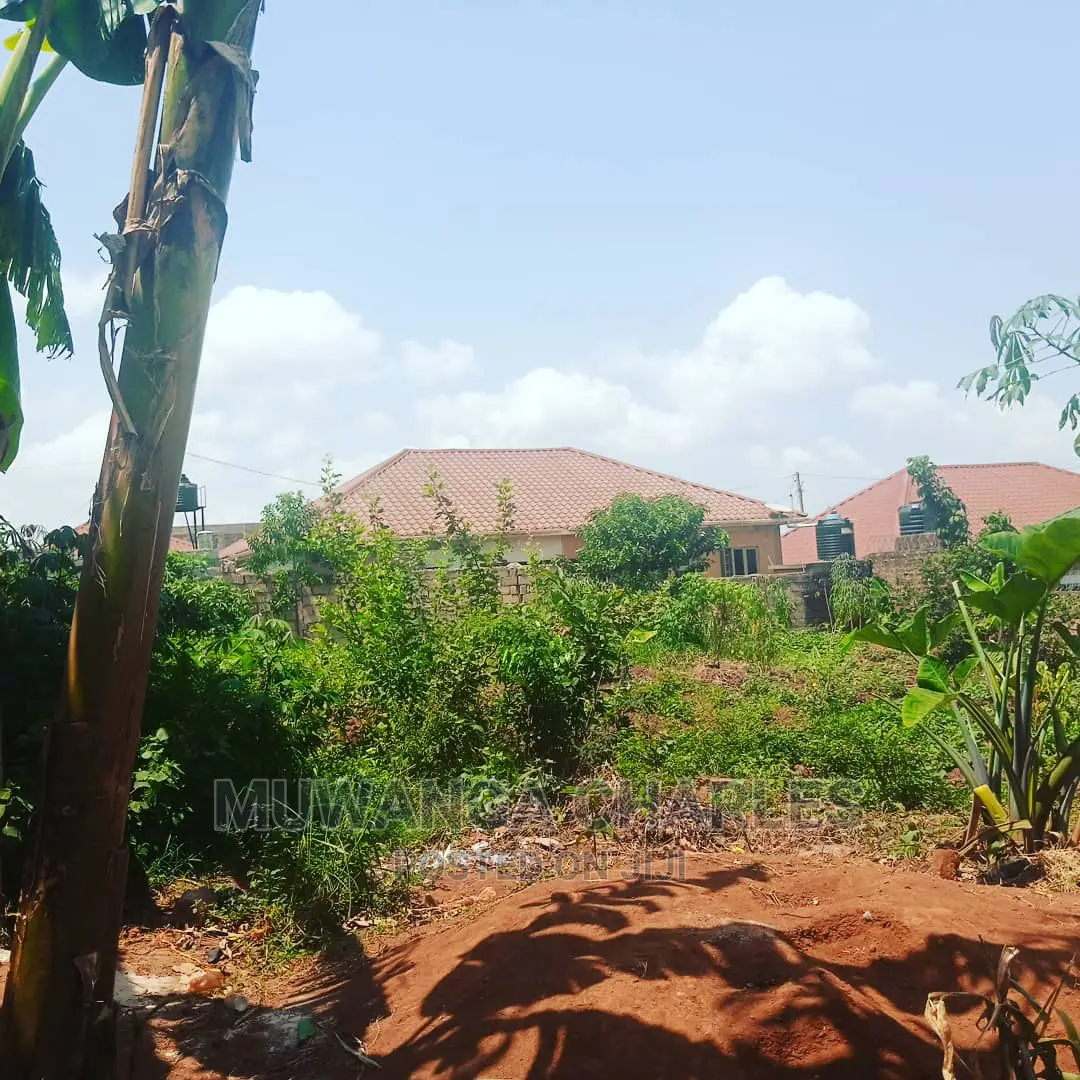 Plot Is for Sale in Kira