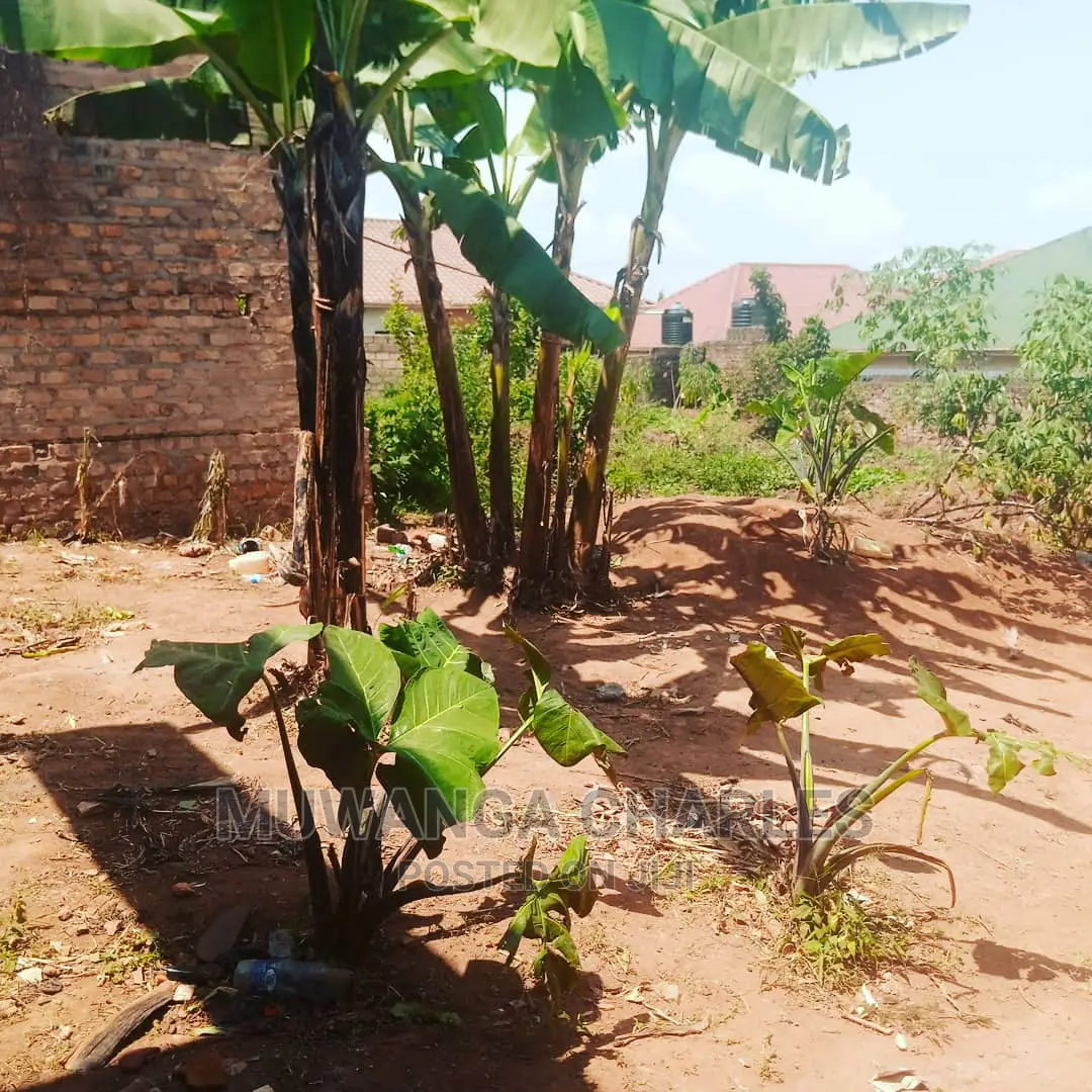 Plot Is for Sale in Kira