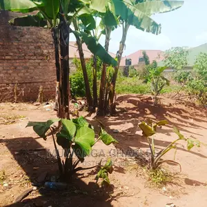 Plot Is for Sale in Kira