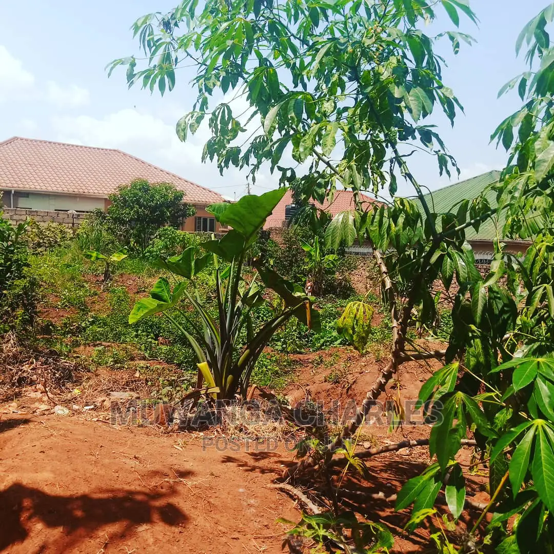 Plot Is for Sale in Kira