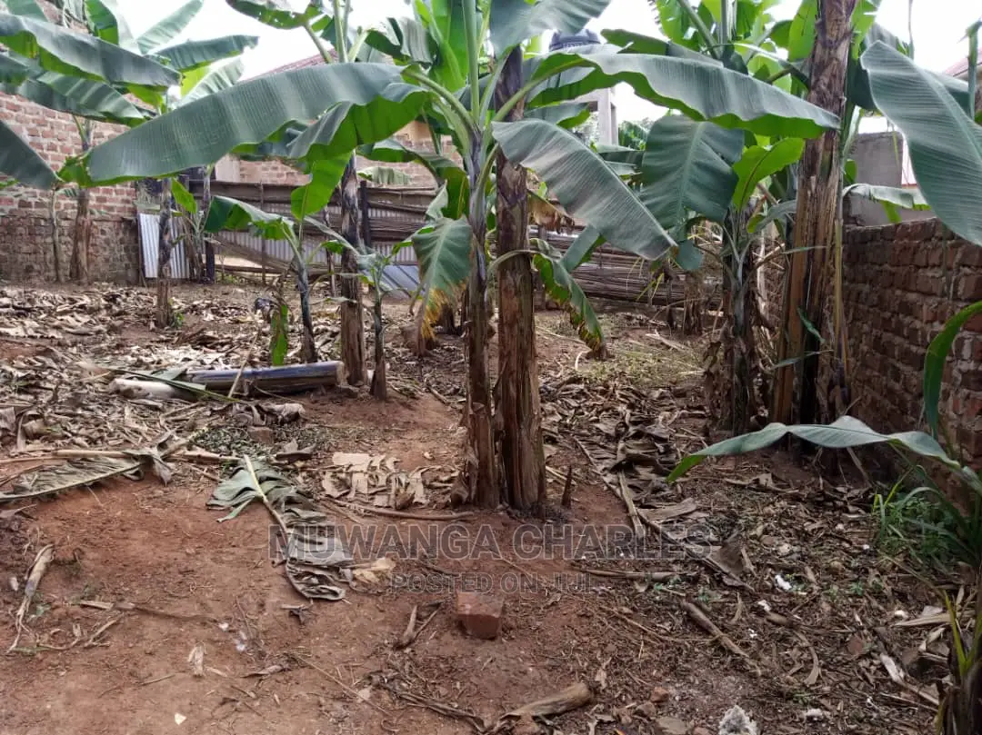 Plot Is for Sale in Kira