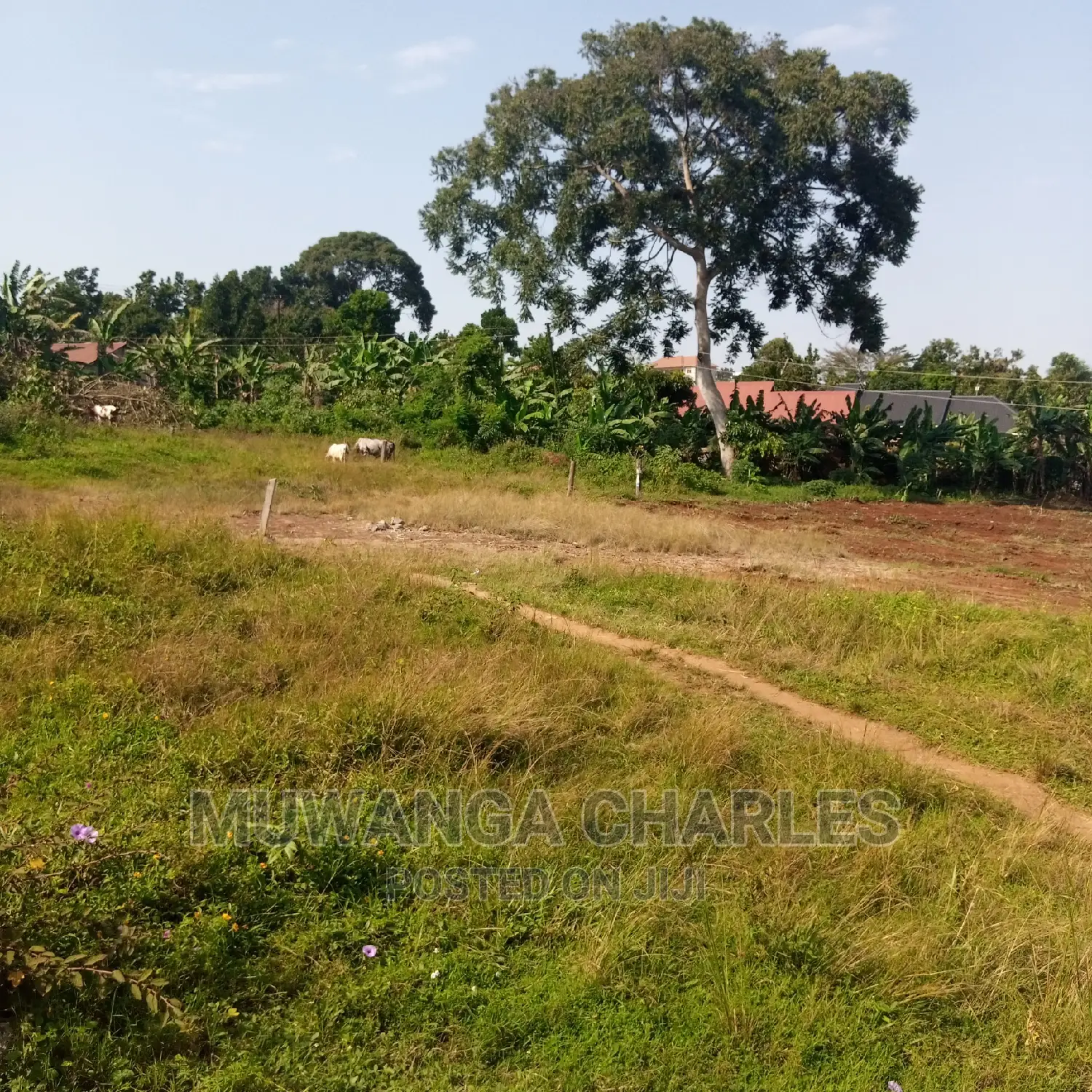 Plots Is Available for Sale in Kira