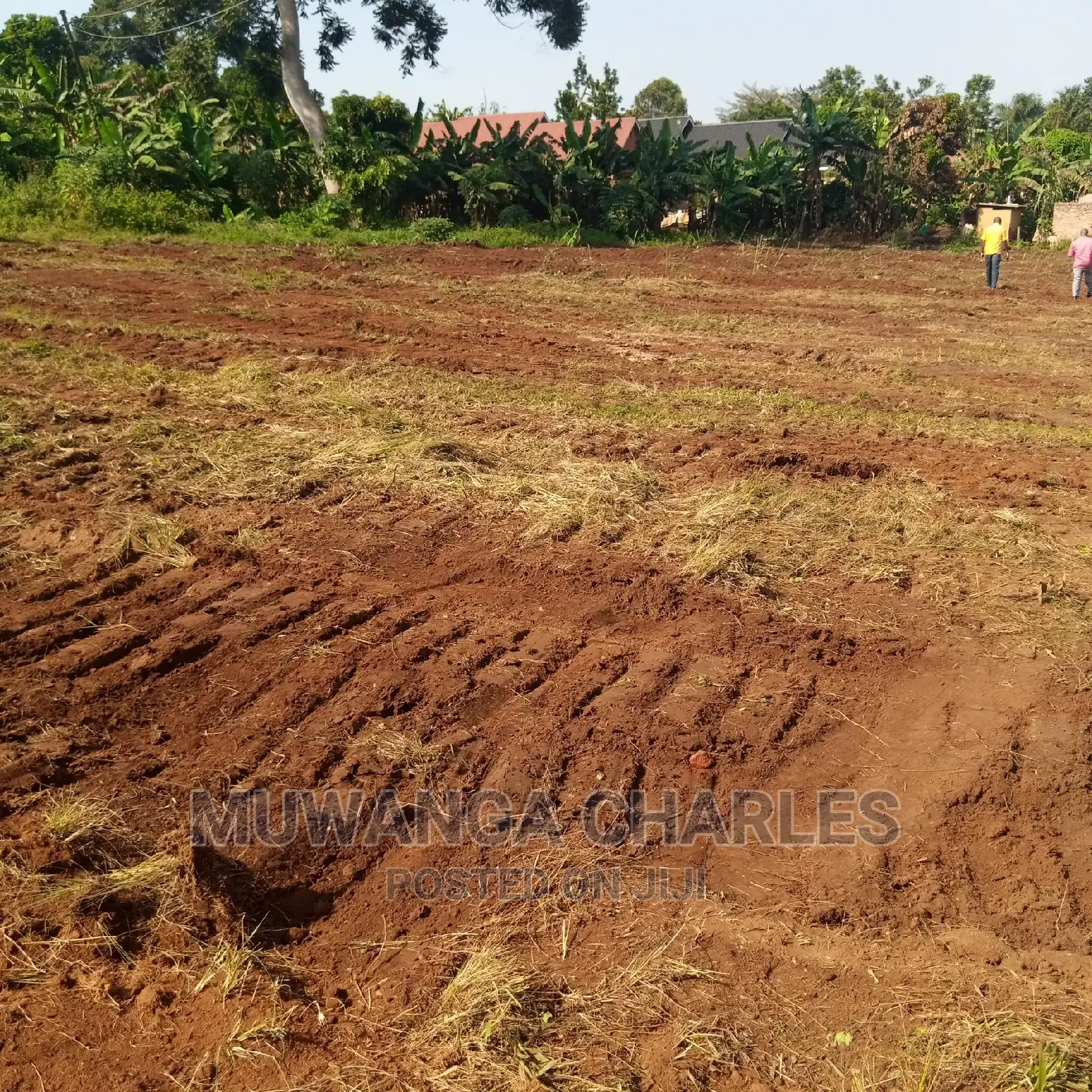 Plots Is Available for Sale in Kira