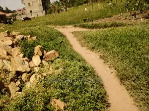 Kira Plot Is for Sale