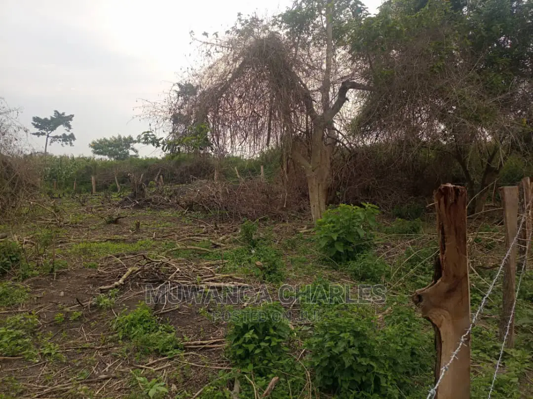 100acre's Is for Sale in Nakasongola