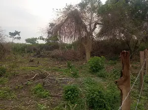 100acre's Is for Sale in Nakasongola