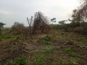 100acre's Is for Sale in Nakasongola