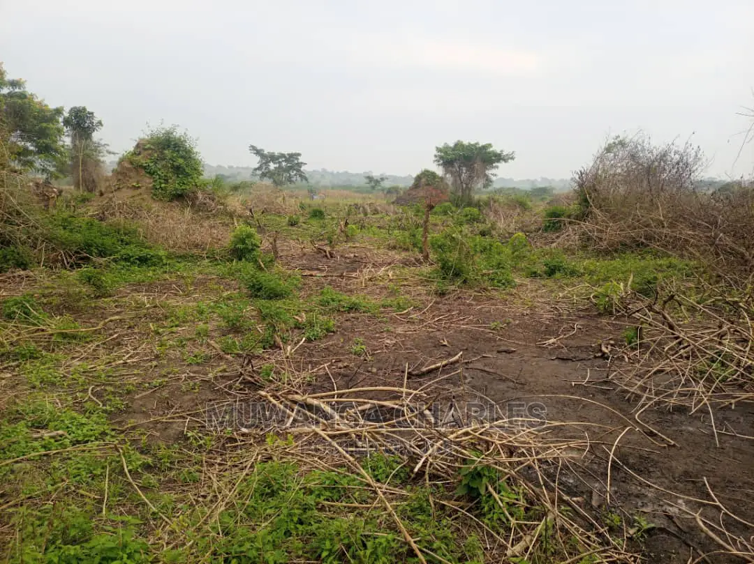 100acre's Is for Sale in Nakasongola
