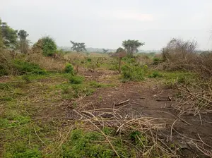 100acre's Is for Sale in Nakasongola