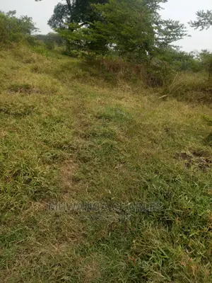 100acre's Is for Sale in Nakasongola
