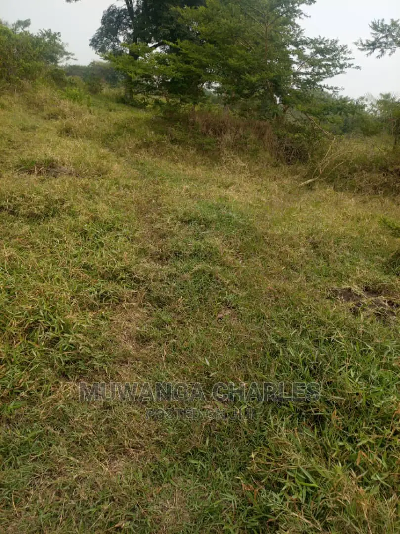 100acre's Is for Sale in Nakasongola