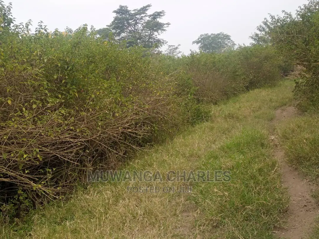100acre's Is for Sale in Nakasongola