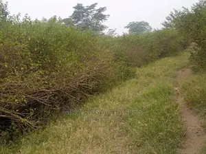 100acre's Is for Sale in Nakasongola