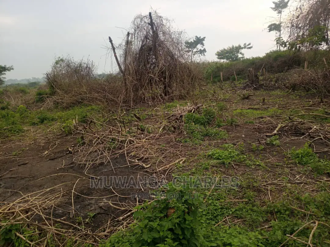 100acre's Is for Sale in Nakasongola