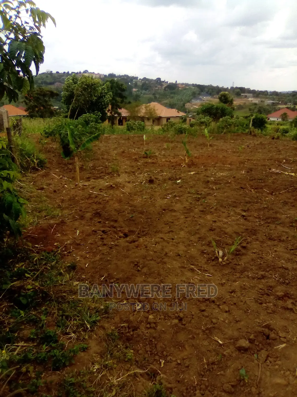 100/100 Plot for Sale in Sonde Misidye