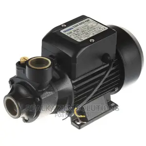 Pioneer 35 Meter Electric Clean Water Pump 0.37kw/0.5hp