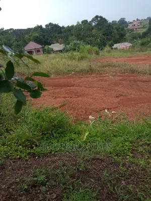 Kira Plots on Sell