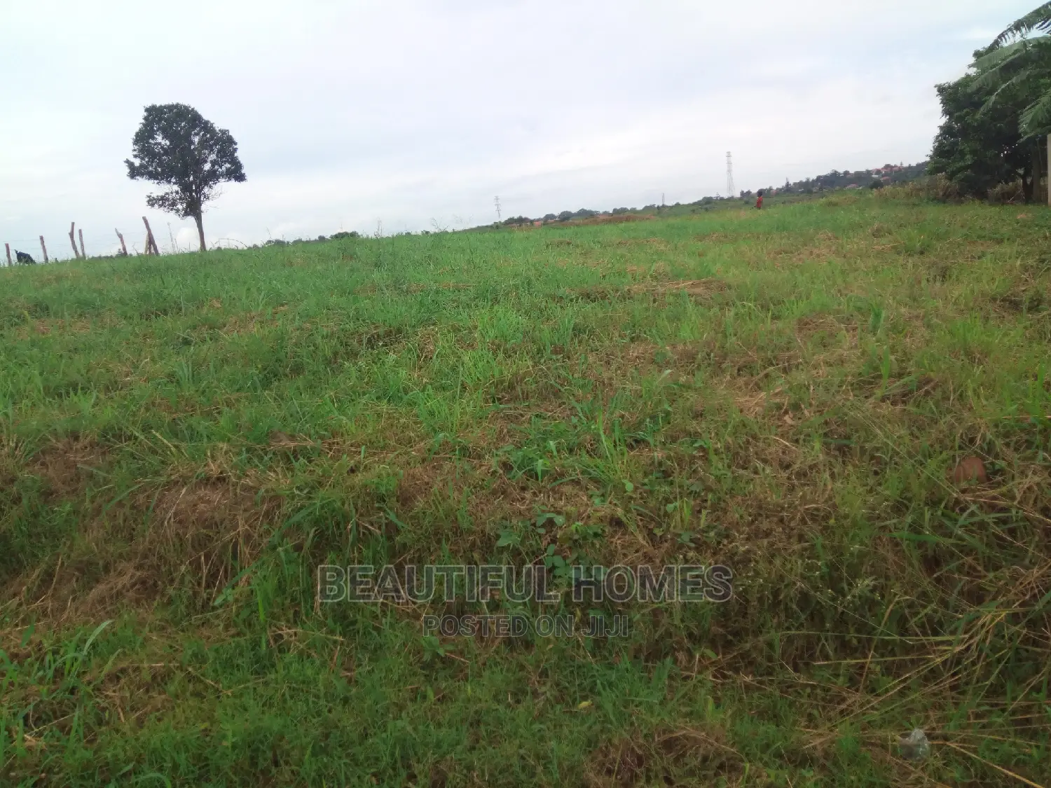 2 Plots in Kira Close to Main Road on Sell