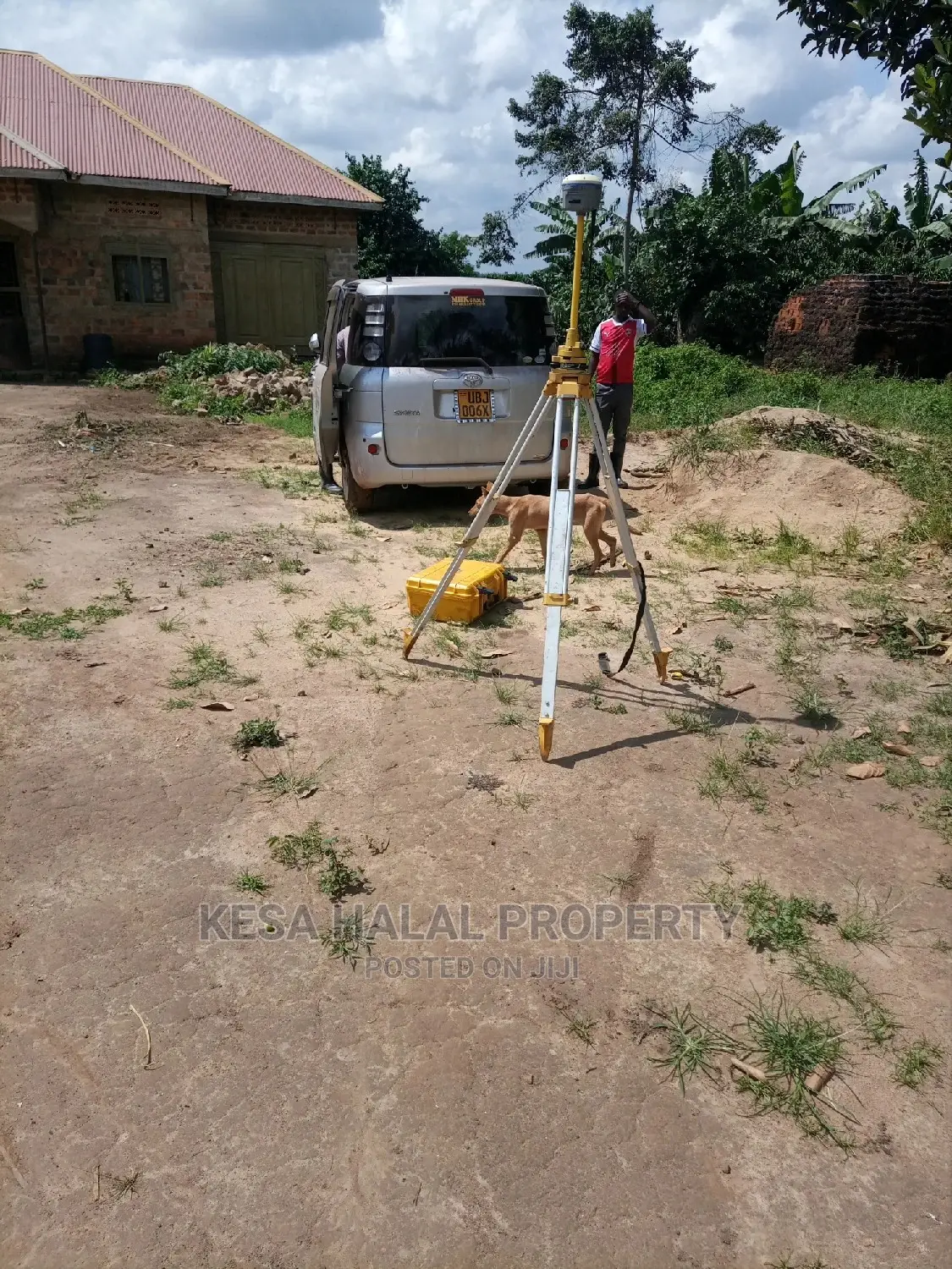 Professional Surveying Services.