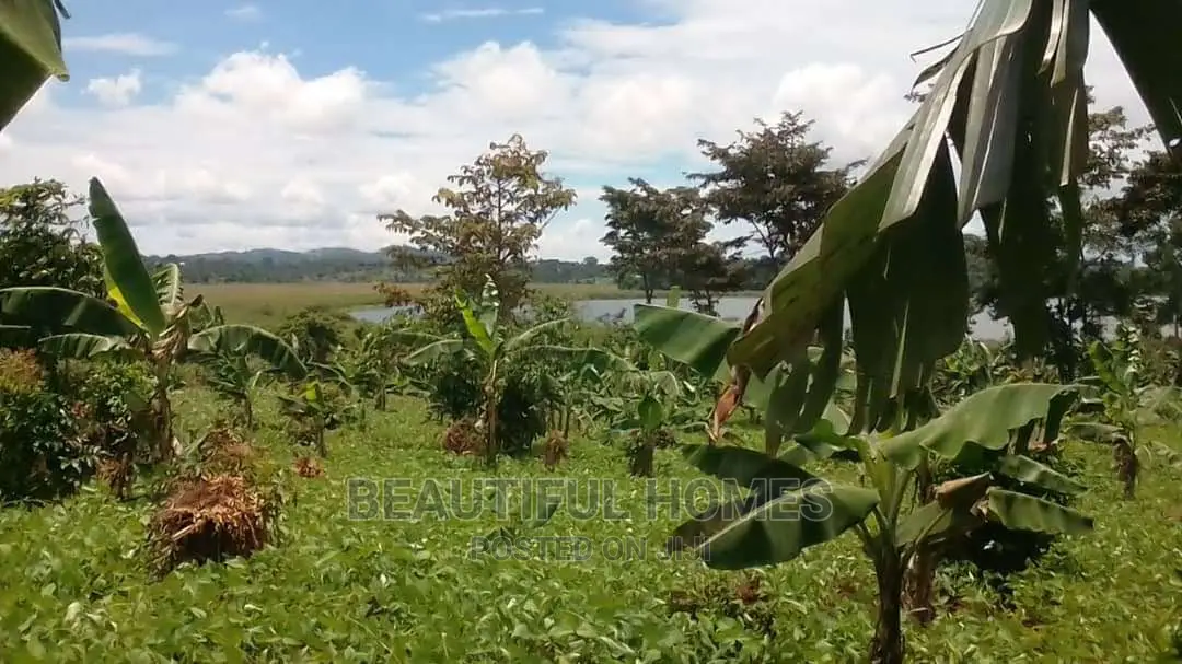 Kalangala Town 10 Aces of Beach Land on Sale