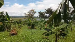 Kalangala Town 10 Aces of Beach Land on Sale
