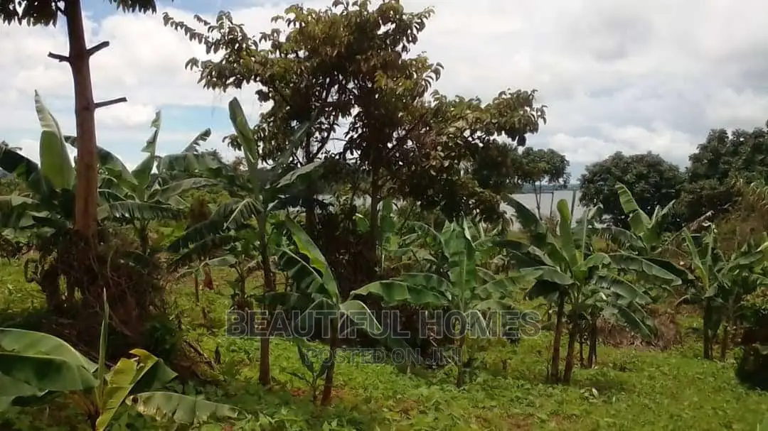 Kalangala Town 10 Aces of Beach Land on Sale