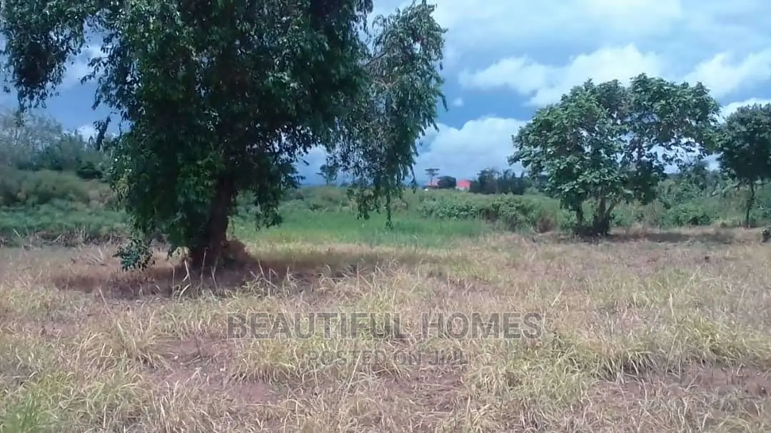 Kalangala Town 10 Aces of Beach Land on Sale