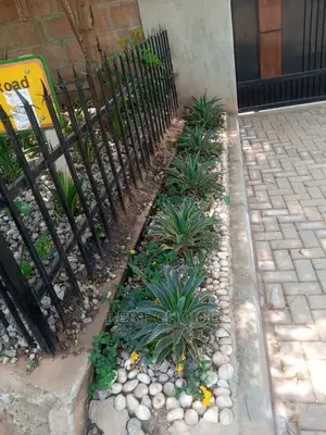 Amazing Land Scarping and Compound Designing.