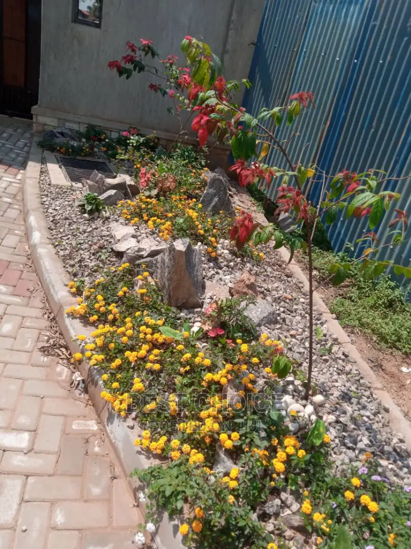 Amazing Land Scarping and Compound Designing.
