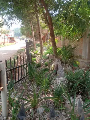 Amazing Land Scarping and Compound Designing.