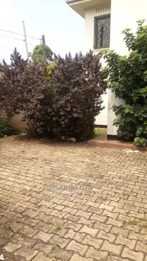 4bdrm Duplex in Kololo Property, Kampala for Rent