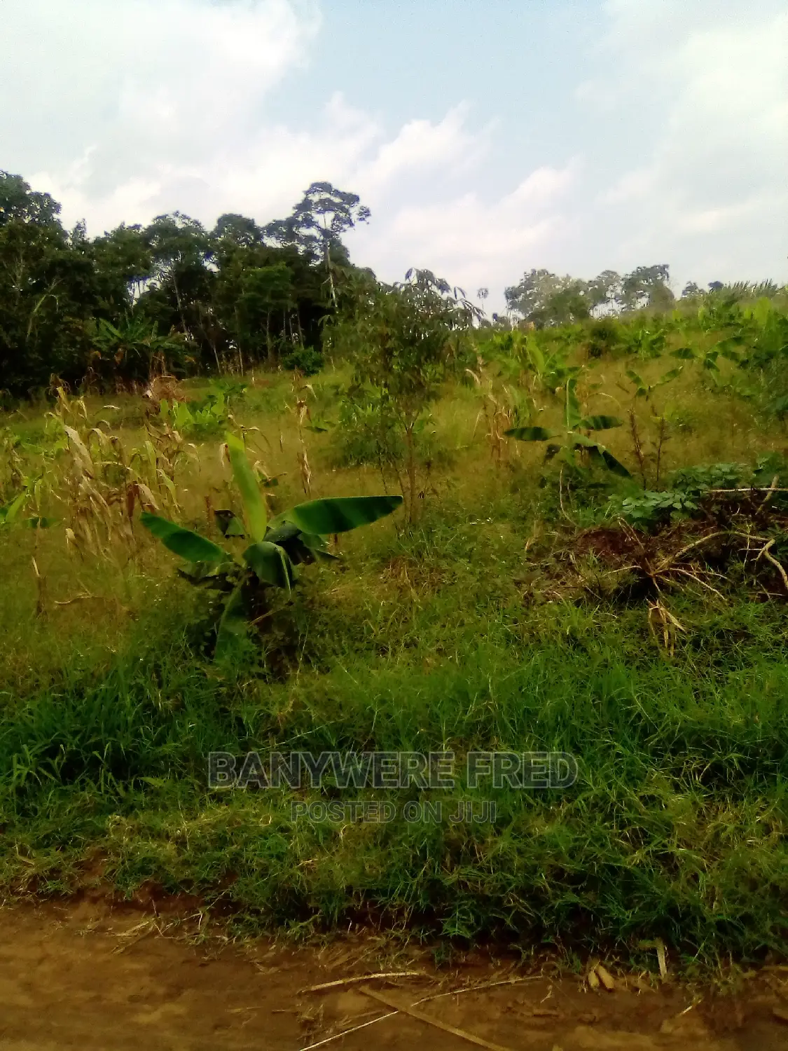 50/100 Plot for Sale in Nagalama Mukono