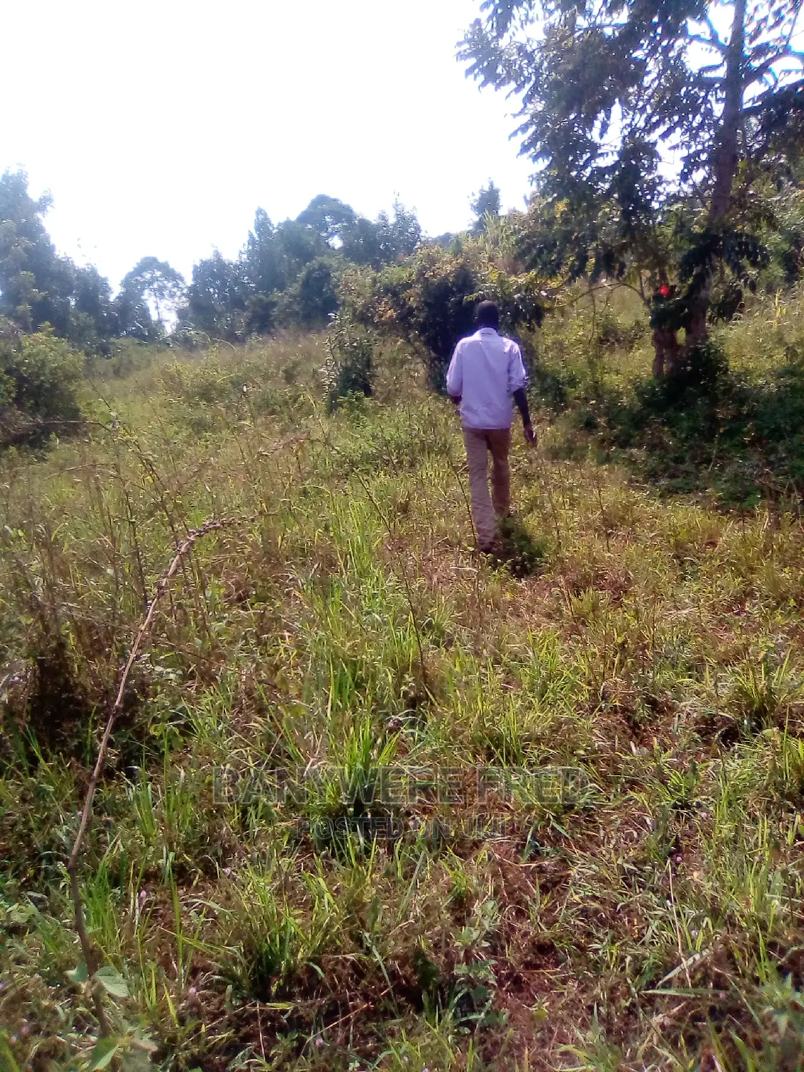 7acres for Sale in Nakifuma Luwayo