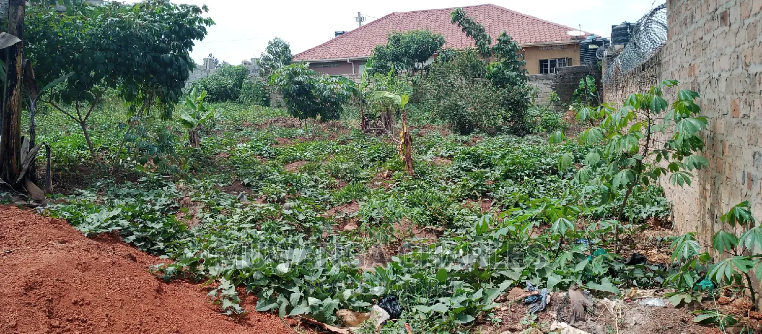 Plot Is for Sale in Kyanja