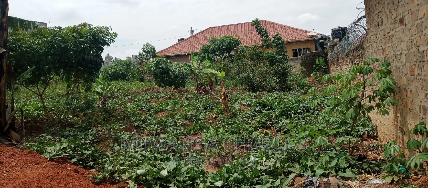 Plot Is for Sale in Kyanja