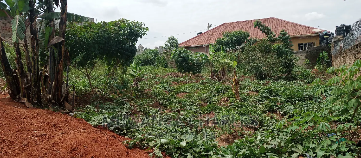 Plot Is for Sale in Kyanja