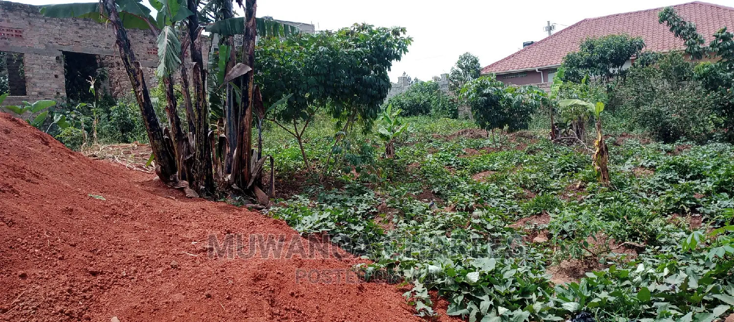 Plot Is for Sale in Kyanja