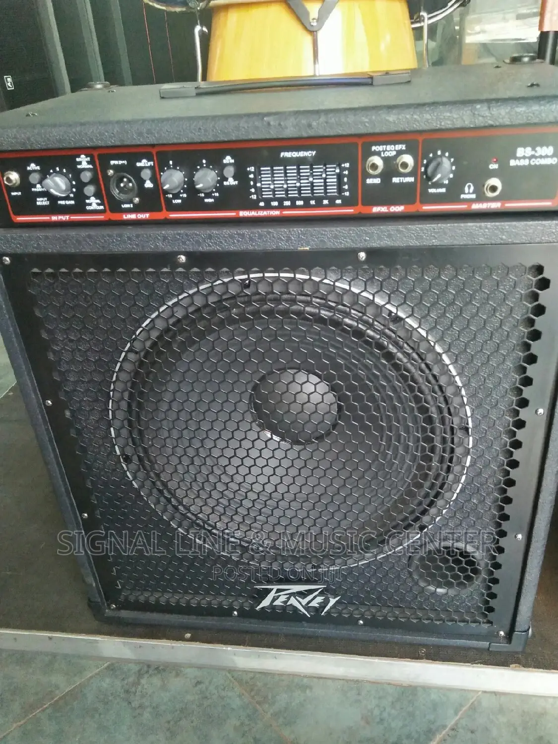 Bass Combo for Guitars Speaker