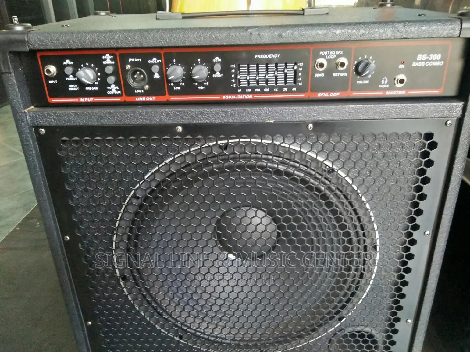 Bass Combo for Guitars Speaker