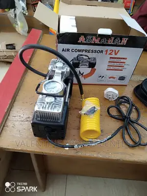 Air Compressor 12V or 220V