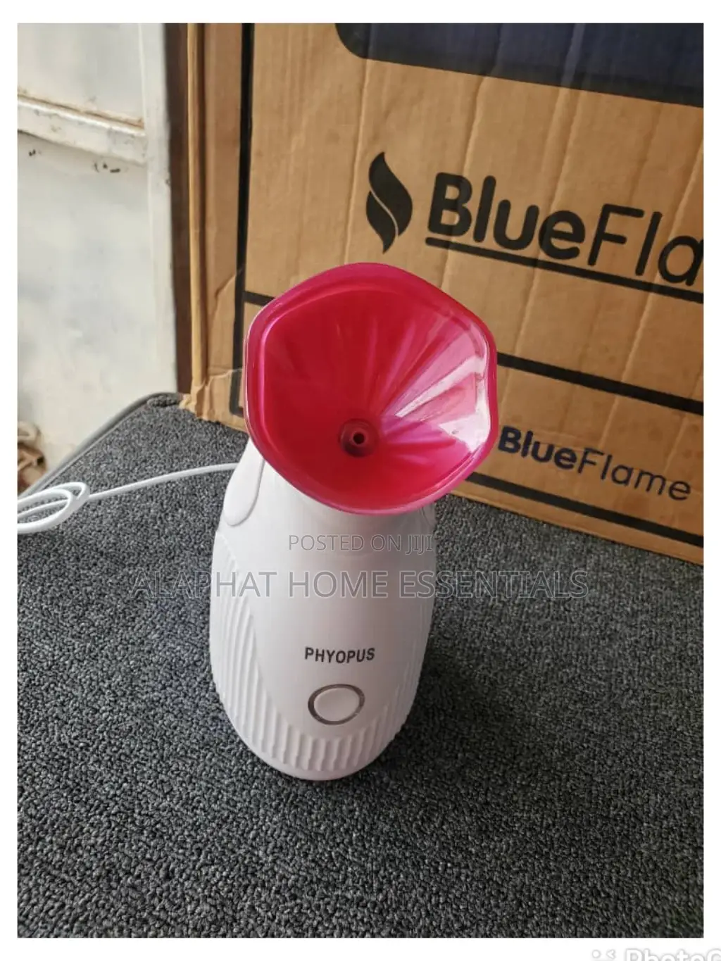 Facial Steamer