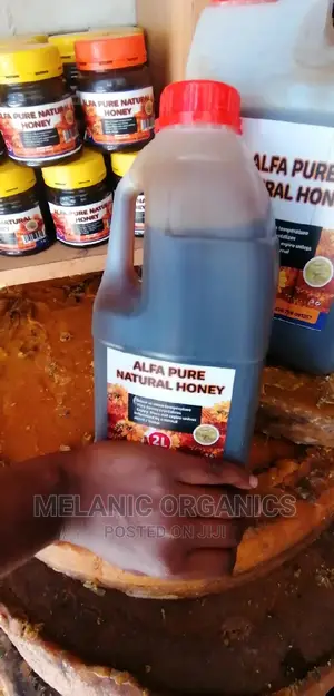 Pure Organic Raw Honey - 2 Litres