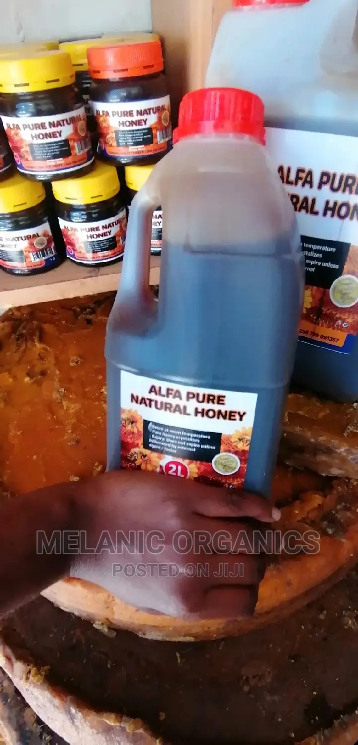 Pure Organic Raw Honey - 2 Litres