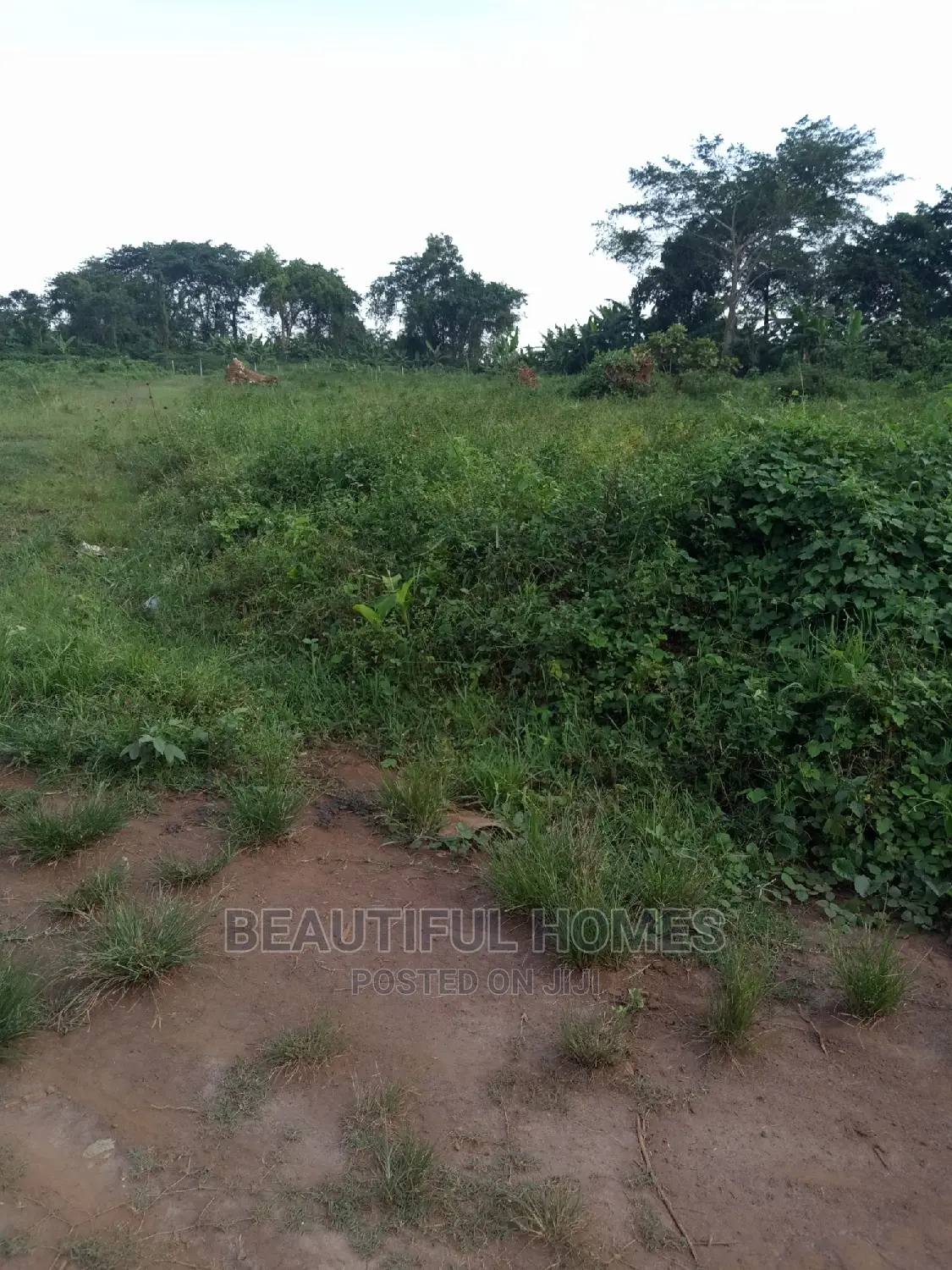 Gayaza Two Empty Plots Near the Road on Sell