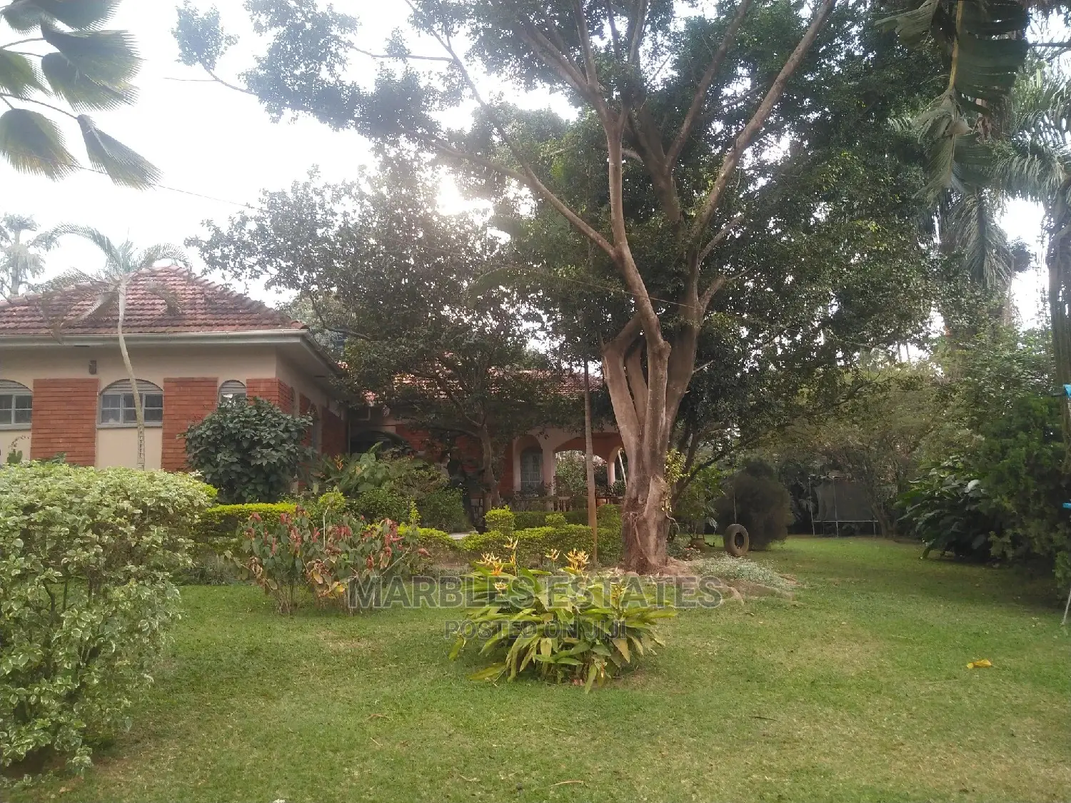 4bdrm Bungalow in Naguru, Central Division for Rent