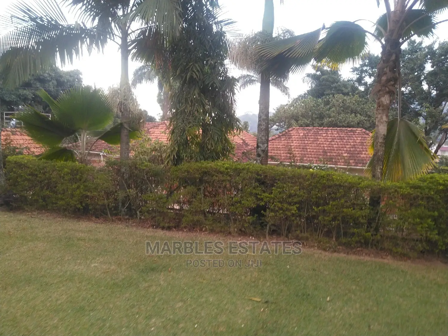 4bdrm Bungalow in Naguru, Central Division for Rent