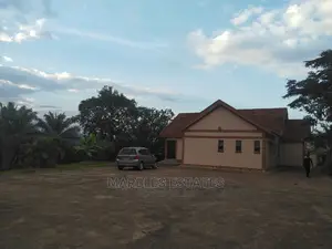 4bdrm Bungalow in Naguru, Kampala for Rent