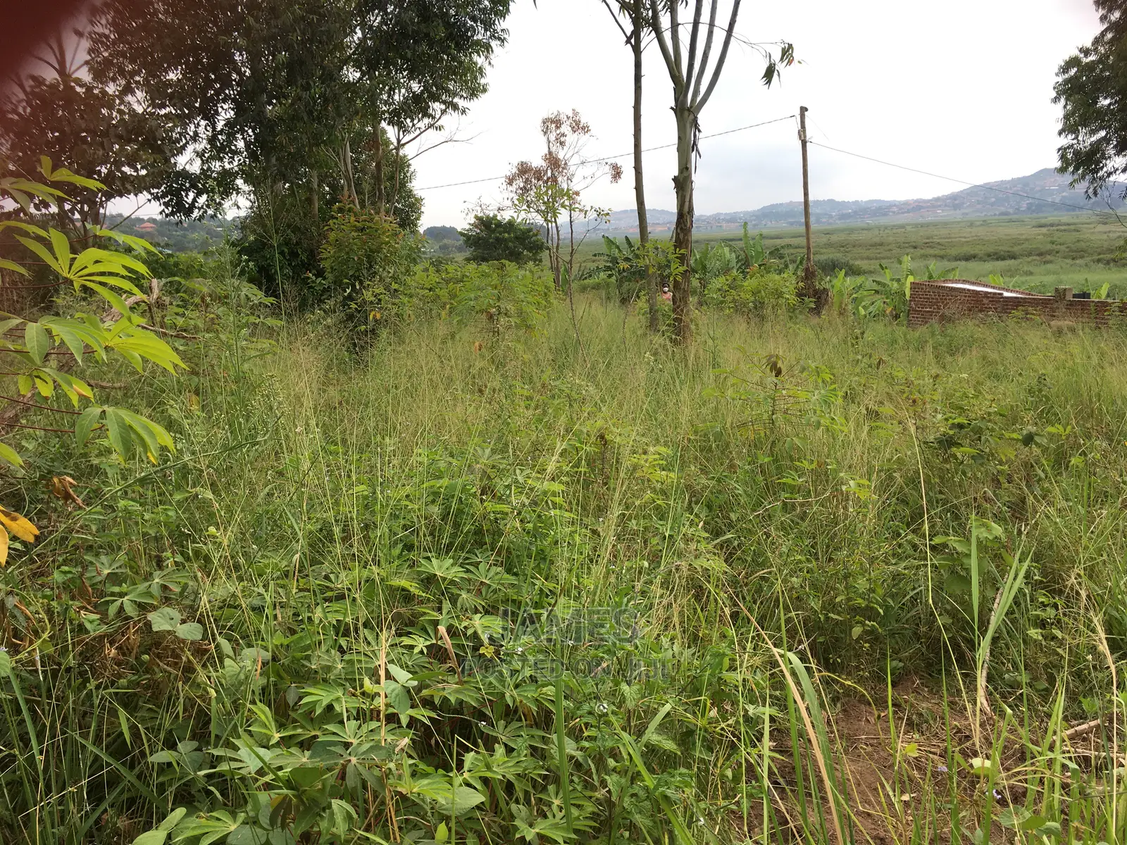 Half an Acre Land in Bweya for Sale